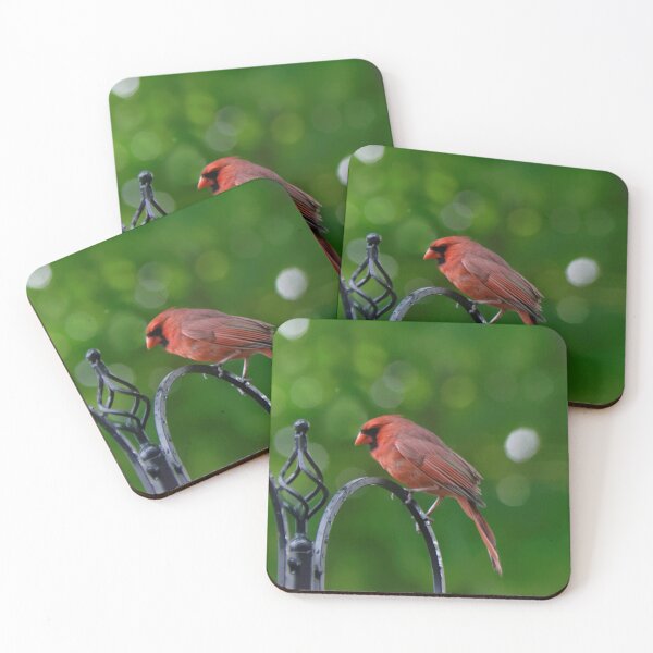 Item preview, Northern Cardinal male designed and sold by rodmacpherson.
