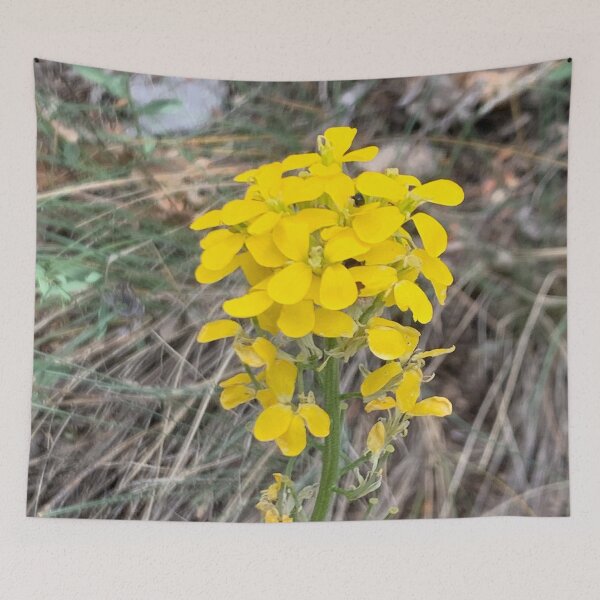 Item preview, Sanddune Wallflower designed and sold by GraceSage.