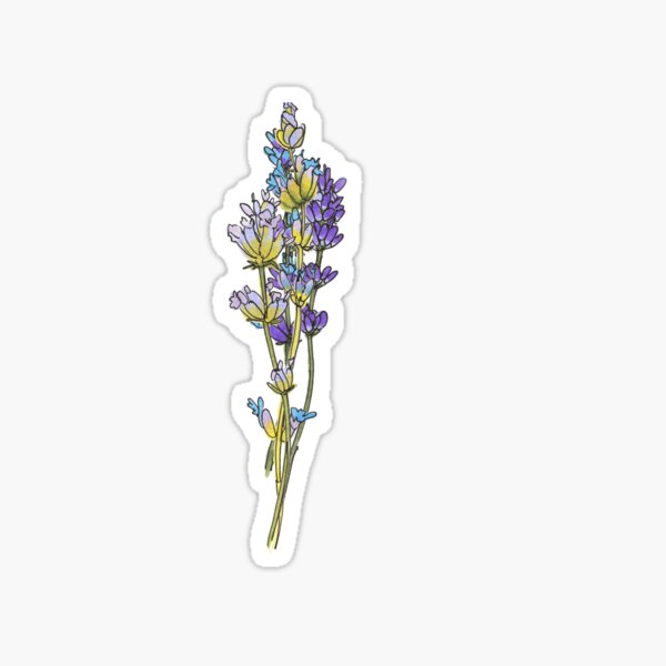 English Lavender Bundle Sticker