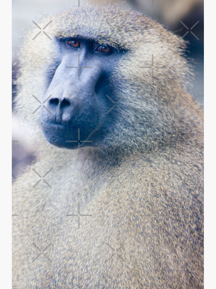 "This is my good side" Sticker for Sale by Mindreader Redbubble