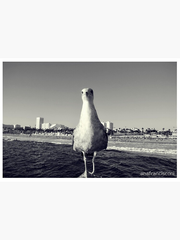 Bird by anafrancisconi