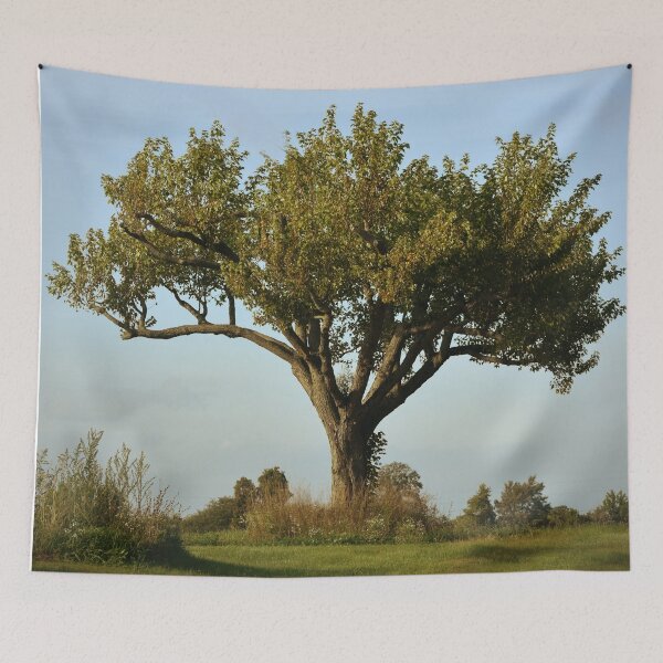Item preview, One Tree in the Field designed and sold by ReneeKennedy.