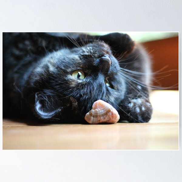 Item preview, Playing Cat designed and sold by CAPhotography.