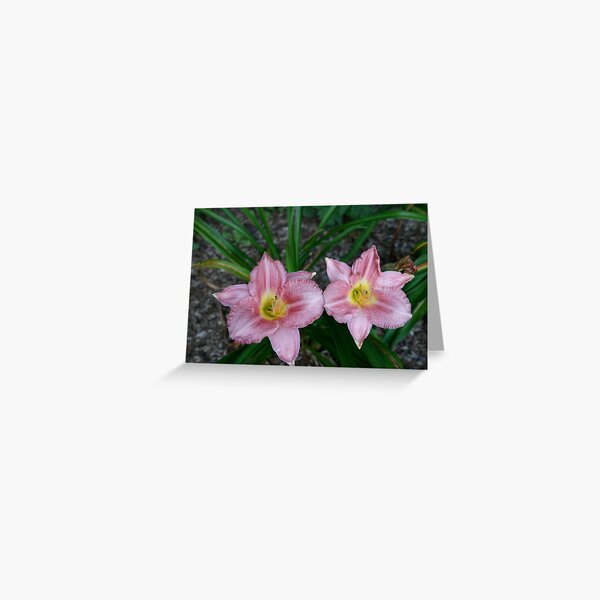 Nana's Rose Colored Glasses N Britz 2008 Greeting Card