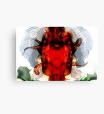 Fusion Canvas Print