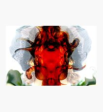 Fusion Photographic Print