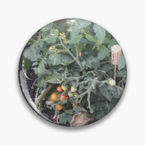 Artikelvorschau, Mein Garten entworfen und verkauft von Sunflowerwild.