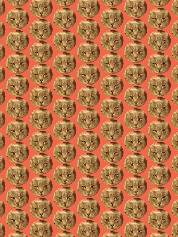 Thumbnail 5 of 5, Graphic T-Shirt Dress, Ozzy the cat in 2020 designed and sold by Martin Boisvert.