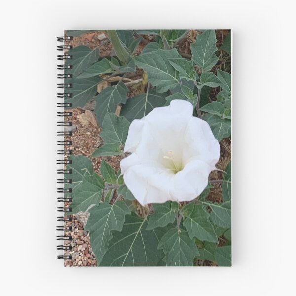 Item preview, Sacred Datura designed and sold by GraceSage.