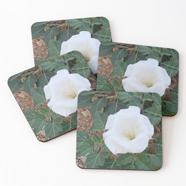 Item preview, Sacred Datura designed and sold by GraceSage.