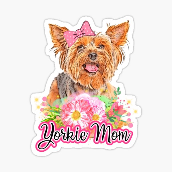 yorkie mom