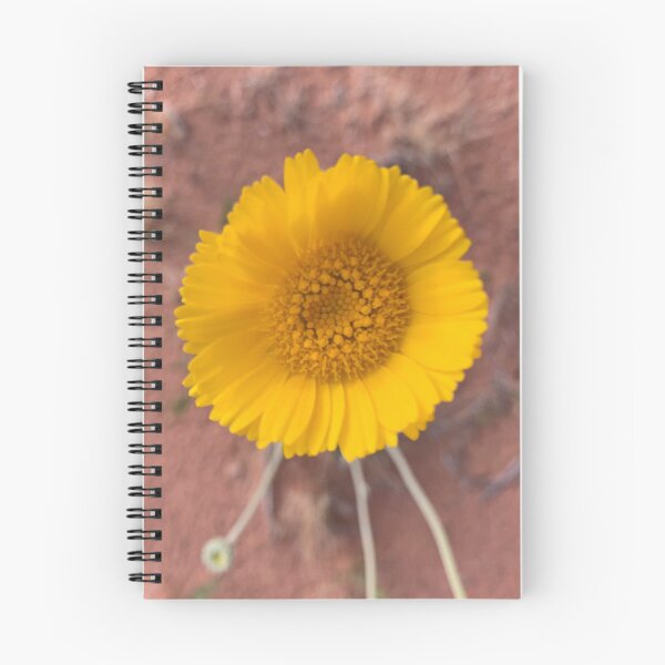 Item preview, Desert Marigold designed and sold by GraceSage.
