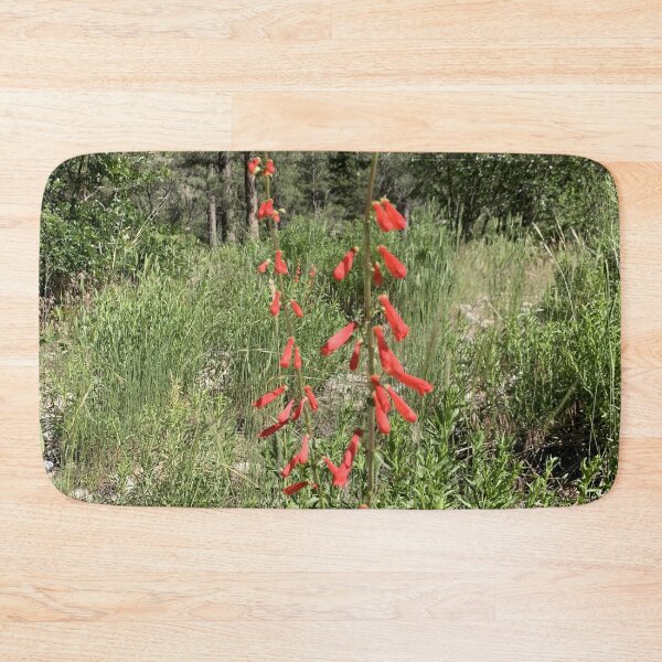 Item preview, Firecracker Penstemon designed and sold by GraceSage.