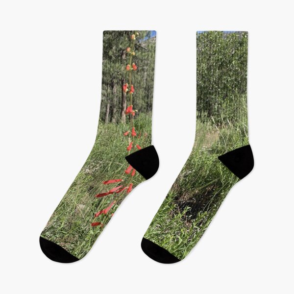 Item preview, Firecracker Penstemon designed and sold by GraceSage.