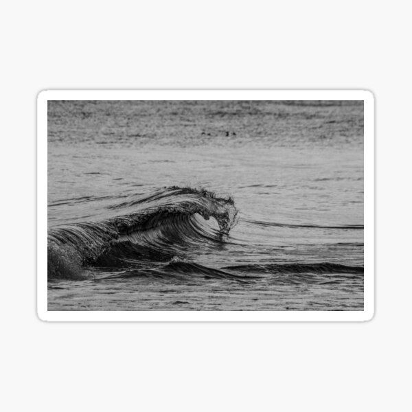 Pulse of the Ocean Sticker