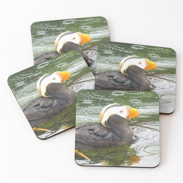 Item preview, Tufted Puffin in the Rain designed and sold by IridescentSea.