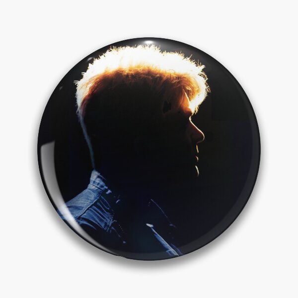 Vic Mignogna: In Concert Pin