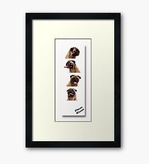 Funny Pug Dog Photo Booth Framed Print