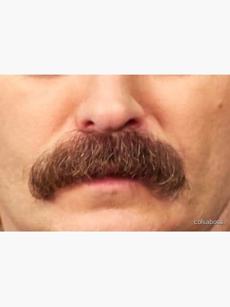 "Ron Swanson Mask" Mask for Sale by colsaboss Redbubble