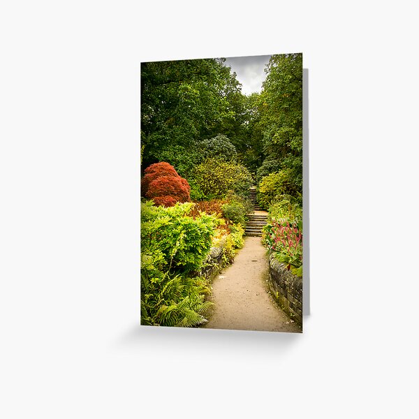 Autumn Walk at Harlow Carr Greeting Card