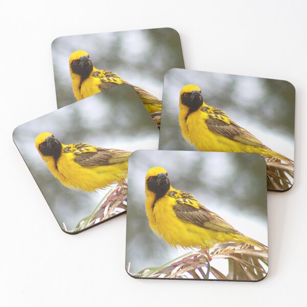 Item preview, WERE YOU TALKING TO ME? (SOUTHERN) MASKED WEAVER - Ploceus velatus designed and sold by Magriet Meintjes.