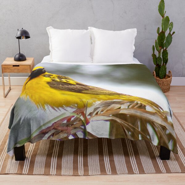 Item preview, WERE YOU TALKING TO ME? (SOUTHERN) MASKED WEAVER - Ploceus velatus designed and sold by Magriet Meintjes.