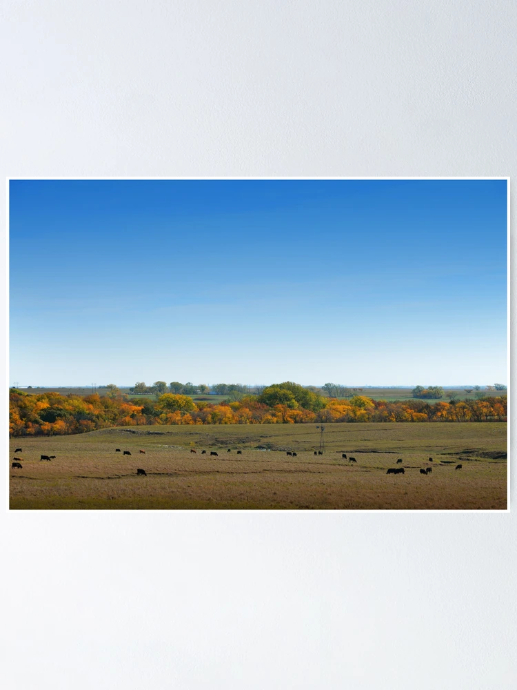 Thumbnail 1 of 3, Poster, Country Color designed and sold by Robert Baker.