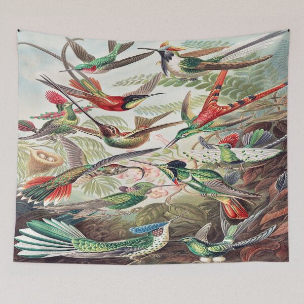 Item preview, Illustrated Audubon Print designed and sold by Slydell1.