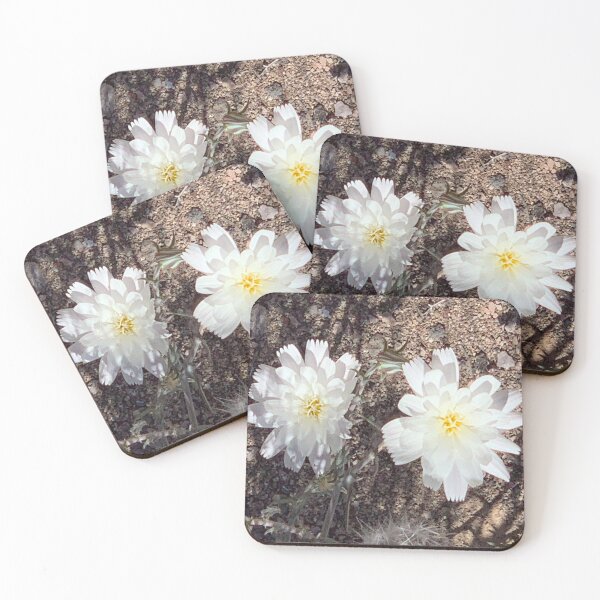 Item preview, Desert Chicory designed and sold by GraceSage.