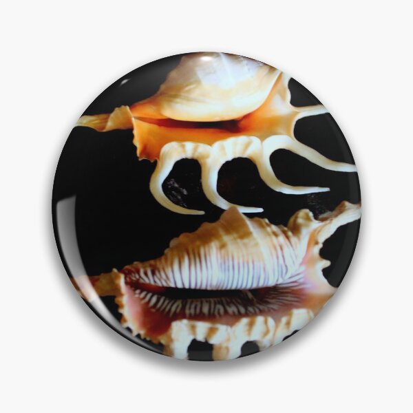Item preview, Shell We Dance, Da Da Da... designed and sold by Michael May.