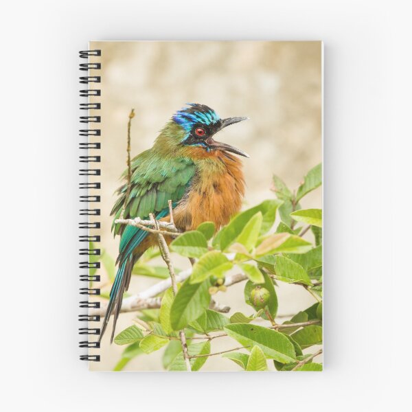 Item preview, Trinidad Motmot designed and sold by Faraaz Abdool.