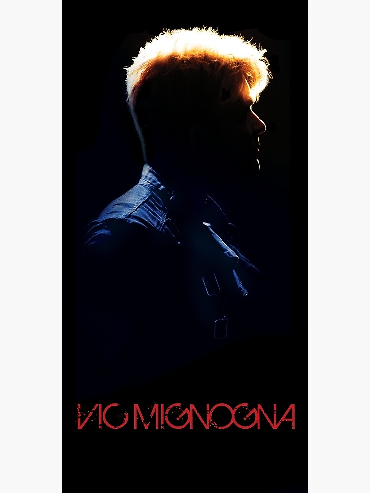 Vic Mignogna: In Concert by squallykins