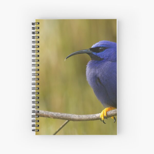 Purple Honeycreeper Spiral Notebook