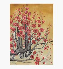 flowering quince Photographic Print