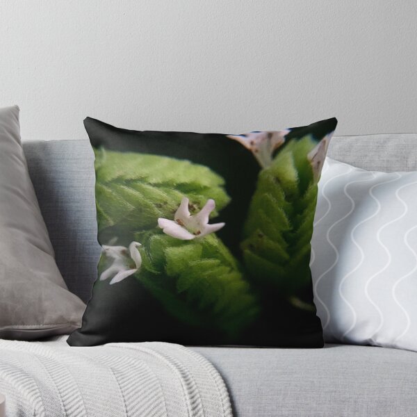 Item preview, Oregano designed and sold by umeimages.