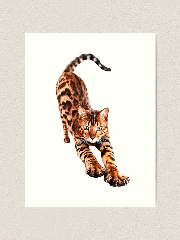 Bengal Cat Stretching  Art Print for Sale by ElegantCat