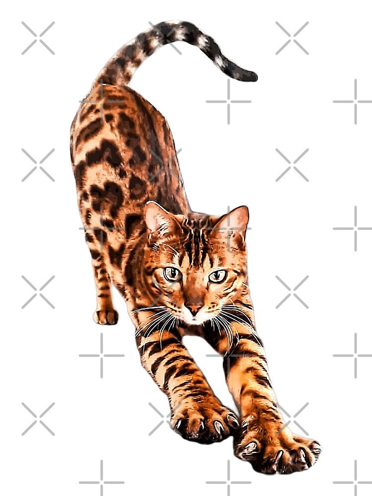 Bengal Cat Stretching ' Art Print for Sale by ElegantCat
