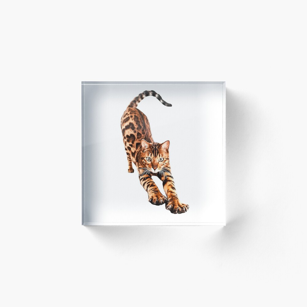 Bengal Cat Stretching  Art Print for Sale by ElegantCat