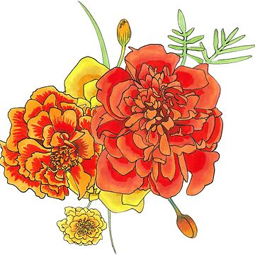 Artwork thumbnail, Marigold Boquet by sofruity