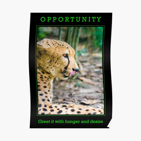 Opportunity  Poster