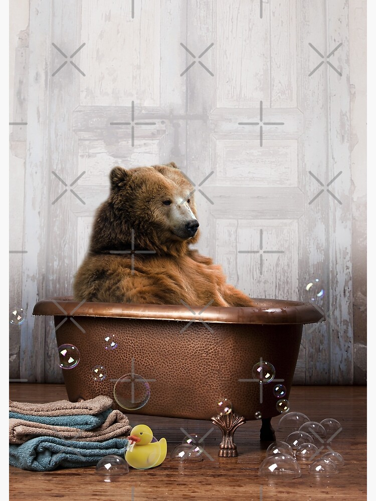 Disover Bear in Bathtub Canvas