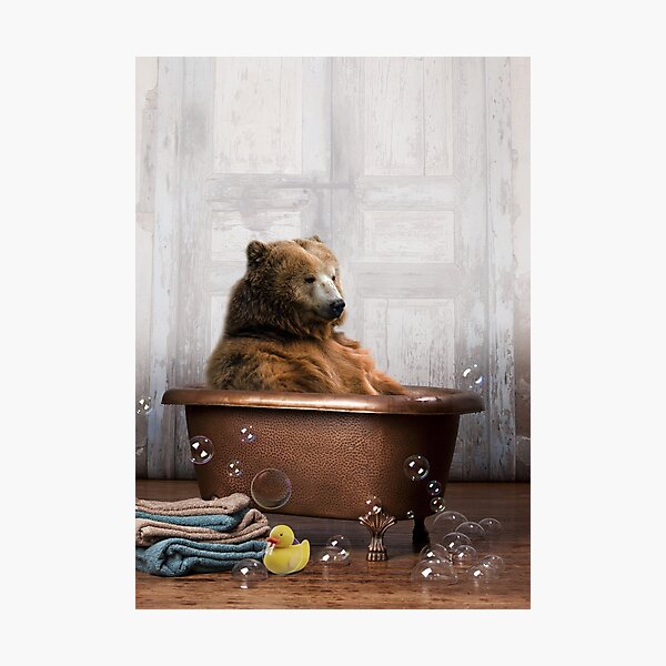 Bear in Bathtub Photographic Print