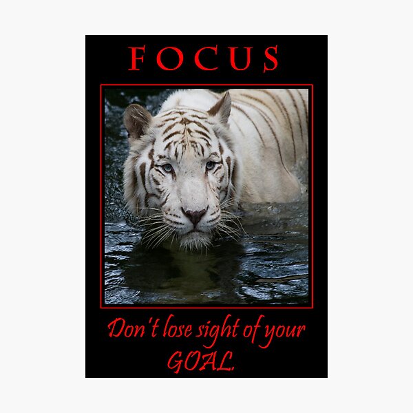 Focus inspirational poster Photographic Print