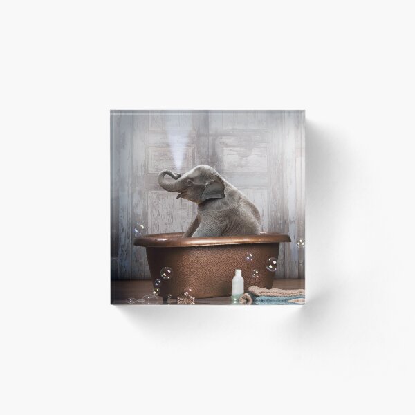 Elephant in Bathtub Acrylic Block