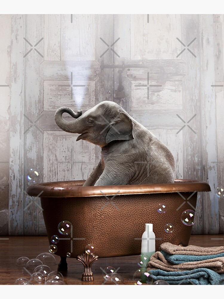 Elephant in Bathtub by snoopdoggydom