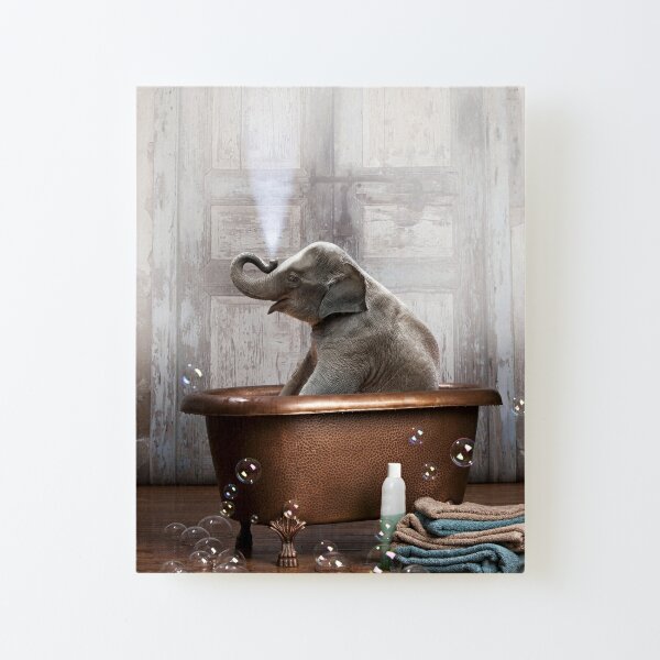 Elephant in Bathtub Canvas Mounted Print