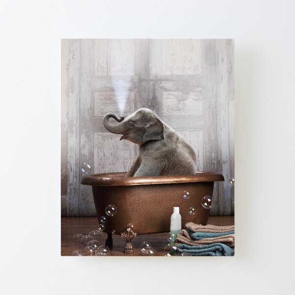 Elephant in Bathtub Canvas Mounted Print