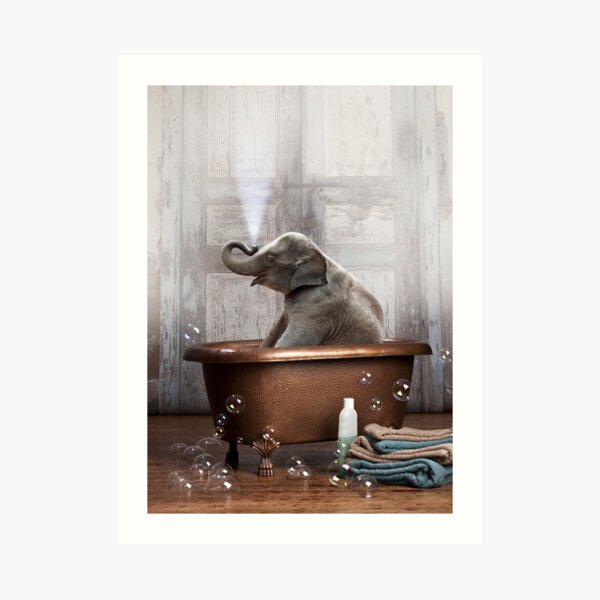 Elefant in der Badewanne Kunstdruck