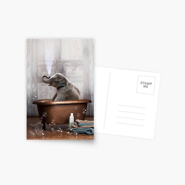 Elephant in Bathtub Postcard