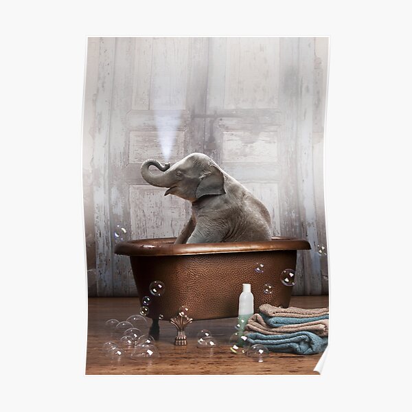 Elephant in Bathtub Poster
